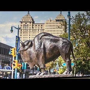 Meet your Posher, John